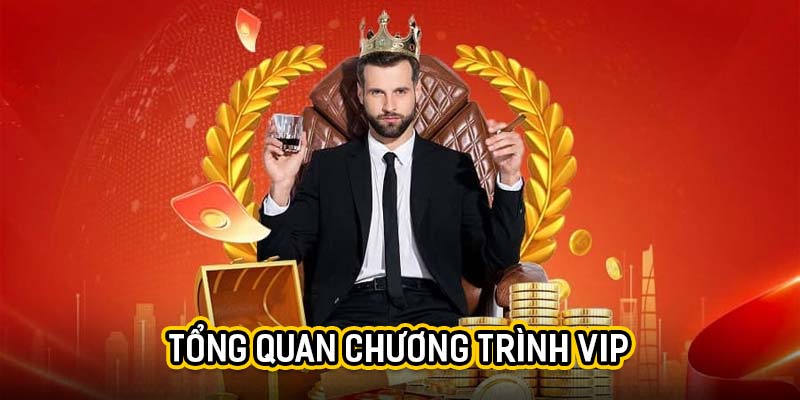 Tổng quan chương trình VIP Xin88